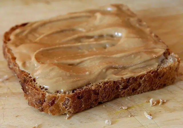 Peanut Butter Sandwich