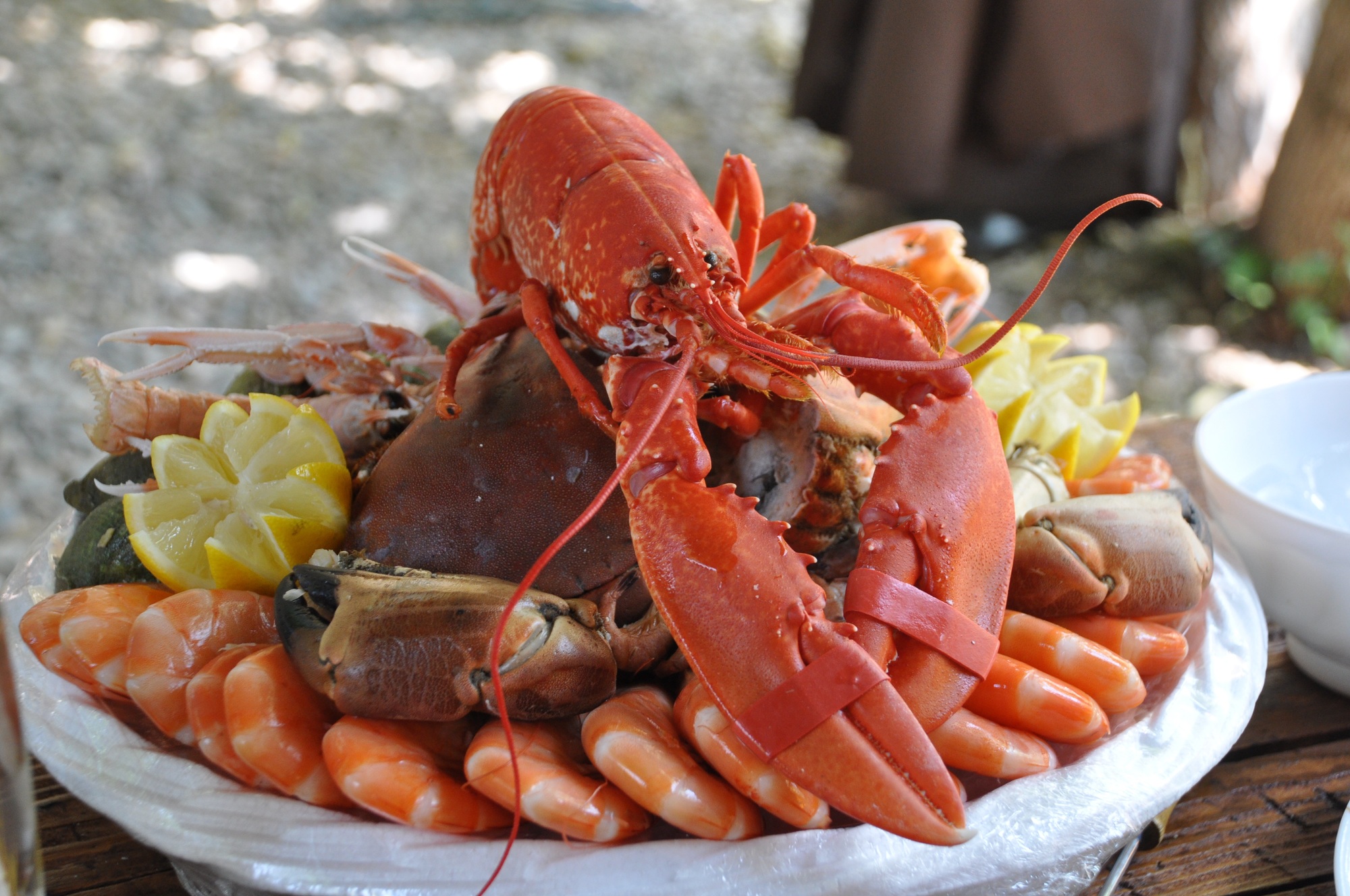 lobster-dish