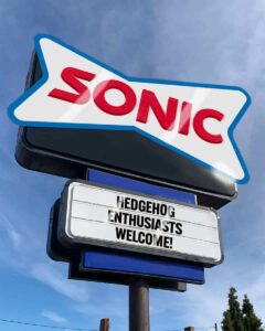 Sonic sign with logo