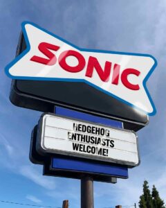 Sonic Menu Prices